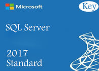 ترخيص قياسي غير محدود لـ Microsoft SQL Server 2017